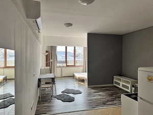 eroii revolutiei aleea solca vila tip bloc - imagine 3