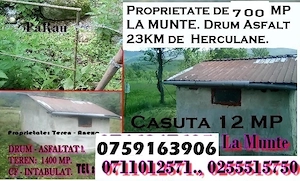 Proprietate la Munte Compusa din 3 Terenuri Separate si o Padure.Casa,Sopron,Cabama Drum din Asfalt. - imagine 2