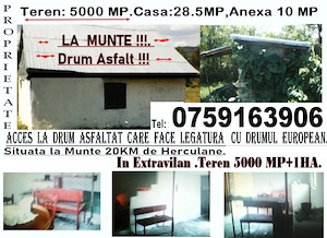 Proprietate la Munte Compusa din 3 Terenuri Separate si o Padure.Casa,Sopron,Cabama Drum din Asfalt.