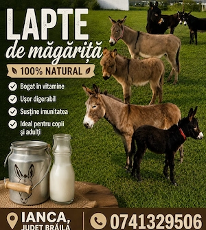 Lapte de măgarita Braila 