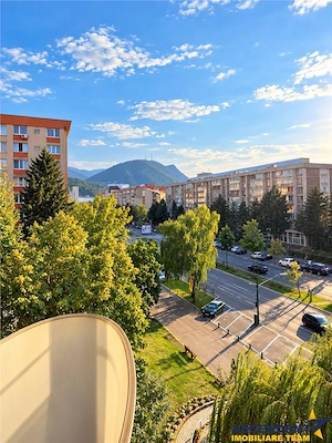 Pet friendly! Apartament doua camere, Bulevardul Victoriei, Brasov - imagine 3
