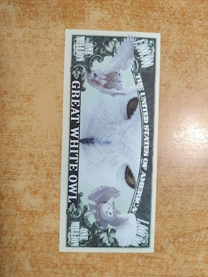 Bancnotă fantezie 