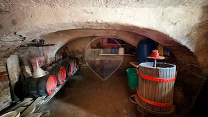 Casă de vânzare în Axente Sever – situată la șoseaua principală - imagine 2