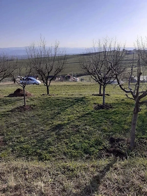 Teren intravilan Sura Mare 550mp - imagine 3