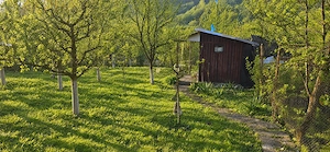 TEREN INTRAVILAN DE VANZARE IN GHINDA – 1.328 MP | DOUA PARCELE | 45.000 EURO - imagine 2