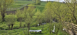 TEREN INTRAVILAN DE VANZARE IN GHINDA – 1.328 MP | DOUA PARCELE | 45.000 EURO - imagine 7