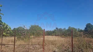 GHERTENIȘ\ CASĂ 3 CAMERE  TEREN 4636 MP\ COMISION 0% - imagine 12