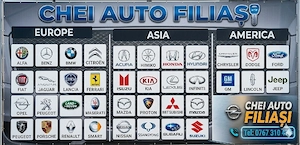 Extragere - Citrire - Aflare Cod Pin Opel  Car Pass Opel  - imagine 2