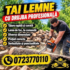tai lemne cu drujba profesionala și tund iarba cu motocoasa
