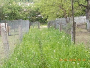  Teren Intravilan Bicaz   Marginea Pădurii (Str. Muncii) - imagine 9