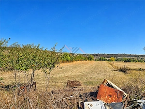 CASA + TEREN 5.723 MP | BISTRA – POPESTI | BIHOR - imagine 16