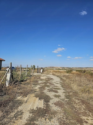Teren Intravilan Paleu 1025 mp