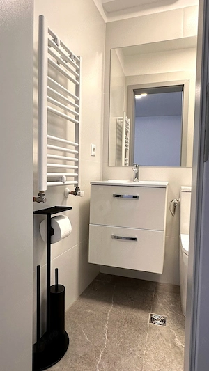 Proprietar: 2 camere renovate complet, str. București colț cu Paris - imagine 8