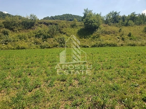 Teren intravilan de 2848mp, Tinutul Padurenilor, sat Negoiu, Hunedoara - imagine 3