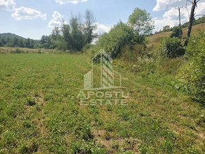 Teren intravilan de 2848mp, Tinutul Padurenilor, sat Negoiu, Hunedoara - imagine 2