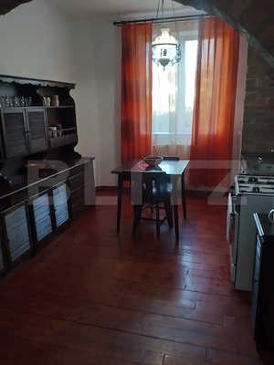Apartament clasic Piata Cipariu  - imagine 3