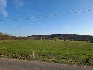 Teren 6500 mp, Charlotenburg (Timiș), direct de la proprietar! - imagine 4