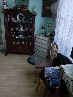 Casă de vânzare în comuna Șagu, județul Arad, teren 1.500 mp - imagine 10