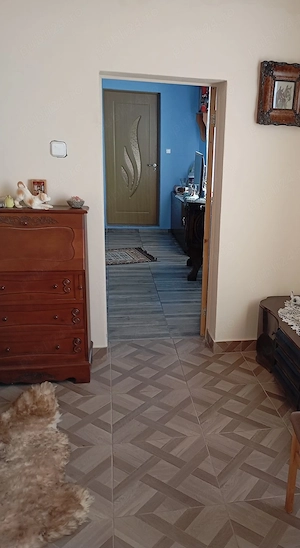 Casă de vânzare în comuna Șagu, județul Arad, teren 1.500 mp - imagine 9