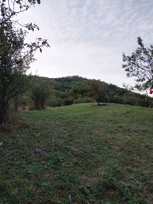 Proprietate cu doua case in satul Lungari com Bisoca jud.Buzau  - imagine 9