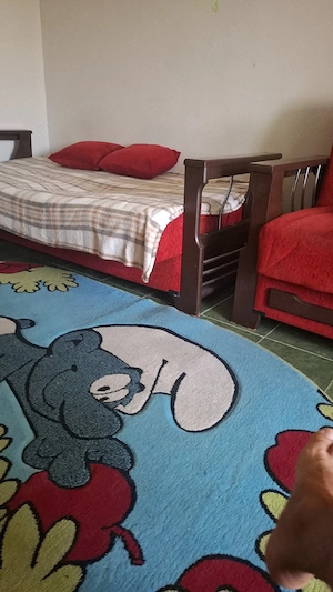 Garsonieră de închiriat in Brazda - imagine 5