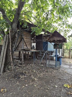 vand casa in vârvoru de sus - imagine 5