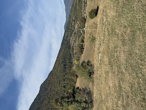 Teren intravilan in Zarnesti 1760 mp (zona Lazuri)  - imagine 5