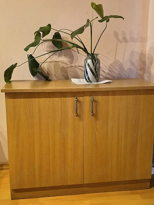 Comodă   Dulap mic cu 2 uși