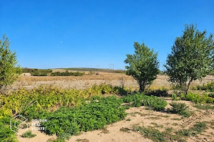 Teren Intravilan, 7000 mp, oras Lipova - imagine 3