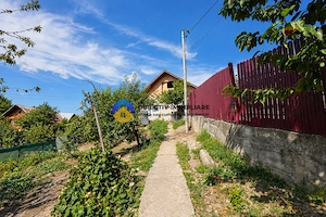 Casa parter cu teren 1.066 mp, Piatra Neamt - imagine 3
