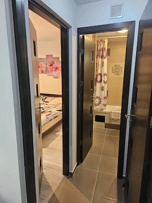 Zona Girocului - Lidia, 2 camere, Et. 1, mobilat si utilat  - imagine 3
