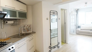 studio, apartament 2 camere, garsoniera de inchiriat, Cismigiu, Bucuresti, ultracentral - imagine 8