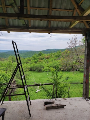 Casa la munte Buzău Valea Roatei Cozieni 1500 mp - imagine 5