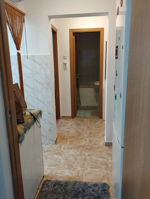 Apartament 2 Camere de Inchiriat, Nitu Vasile (Sun Plaza) - imagine 3
