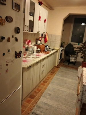 Pensionara primesc in gazda 