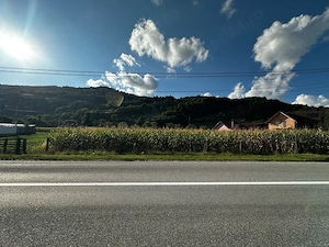 Teren de vânzare-Feldru