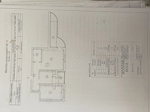 Comision 0%! Direct de la propietar!Apartament de vanzare Valea Lupului Popas Pacurari - imagine 9