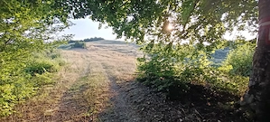 Teren extravilan 12.600 mp