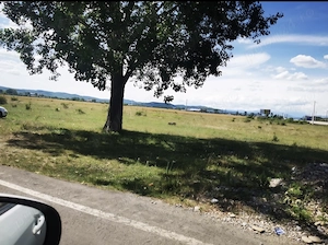 Teren extravilan 7500 mp Florești | Acces DN | 18 m deschidere | Zonă Paralela 45 - imagine 5