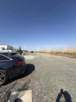 Casa pe parter, 81 mp, 300 mp teren, zona Dumbravita - imagine 12