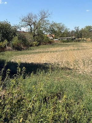 Vand casa si teren , situata central , langa biserica , sat Lugojel , la 6 km de Lugoj - imagine 18