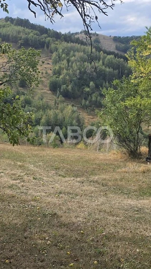Teren de vanzare 8.300 mp Plesi Loman judetul Alba - imagine 4
