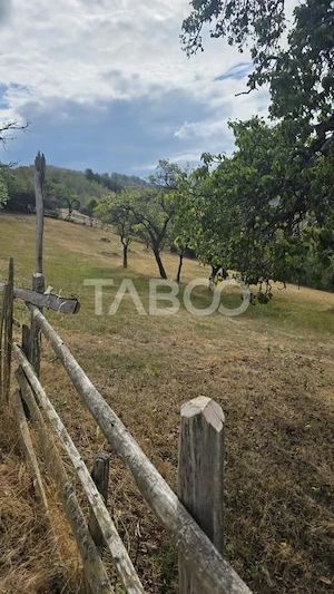 Teren de vanzare 8.300 mp Plesi Loman judetul Alba - imagine 7
