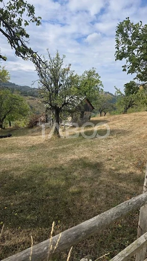 Teren de vanzare 8.300 mp Plesi Loman judetul Alba - imagine 5