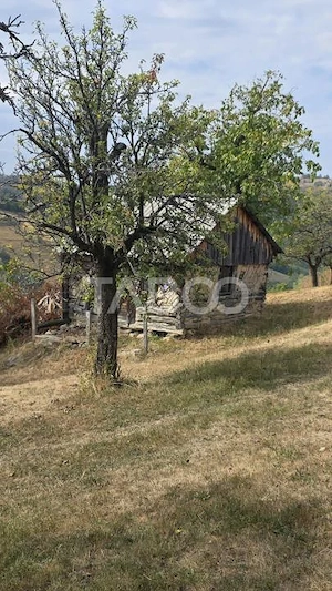 Teren de vanzare 8.300 mp Plesi Loman judetul Alba - imagine 6