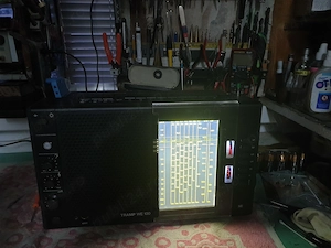 Radio portabil TRAMP WE 100