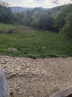 Teren intravilan 1.560 mp + casă 70 mp | Provița de Jos, jud. Prahova | Iesire la strada asfaltata  - imagine 5