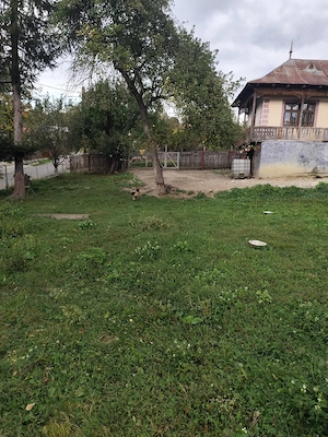 Teren intravilan 1.560 mp + casă 70 mp | Provița de Jos, jud. Prahova | Iesire la strada asfaltata  - imagine 7