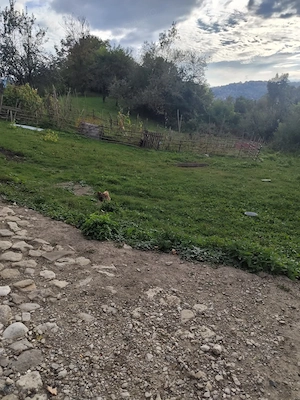 Teren intravilan 1.560 mp + casă 70 mp | Provița de Jos, jud. Prahova | Iesire la strada asfaltata  - imagine 6