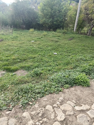 Teren intravilan 1.560 mp + casă 70 mp | Provița de Jos, jud. Prahova | Iesire la strada asfaltata  - imagine 2